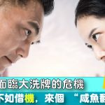 不如借《机》，来个”咸鱼翻身”!