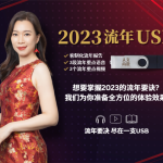 2023年流年USB